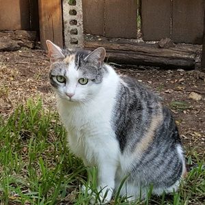 Meet your Posher, Janice